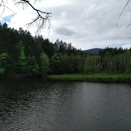 Hauzenberg-pool&saua *
